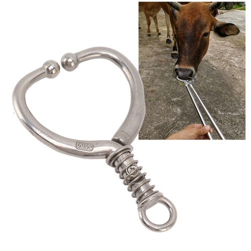 Cattle nose ring durable - cattle,