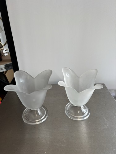 Pair frosted glass tulip - frosted,