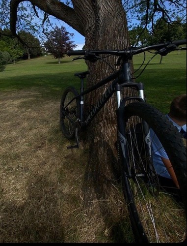Hardtail mountain bike - bike, large