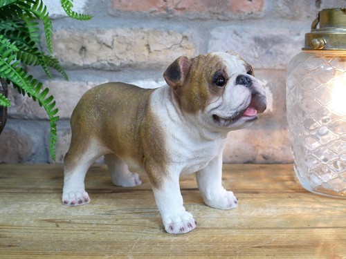 Standing british bulldog resin - standing,
