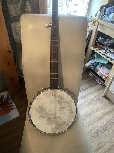 Vintage pilgrim banjo mint - pilgrim,