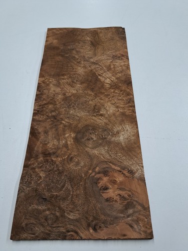 Burr walnut veneer 1 natural - -,