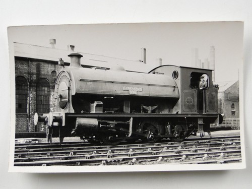 Steam locomotive fox co - steam,
