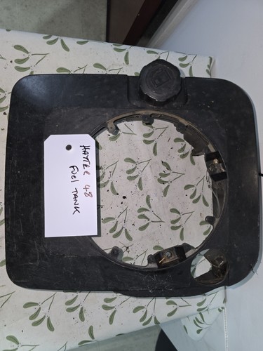 Hayter harrier petrol mower - hayter,