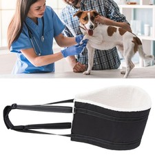 Large Dog Mobility Aids