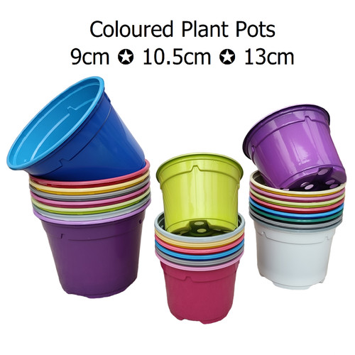 Coloured plastic plant - plant, pots