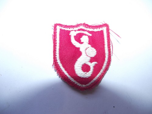 Ww2 poland polish army - l,