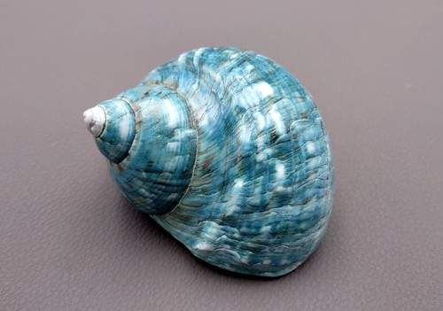 Polished jade green - jade,