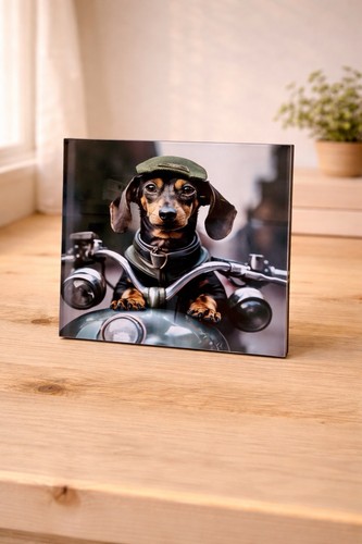 Dachshund motorbike glass - on,