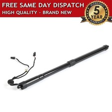 ELECTRIC TAILGATE GAS STRUTS