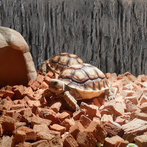 Reptile tank background pu - tank,