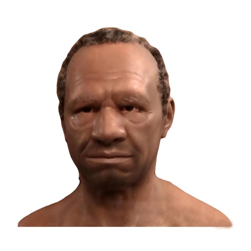 Halloween realistic mask role - halloween,