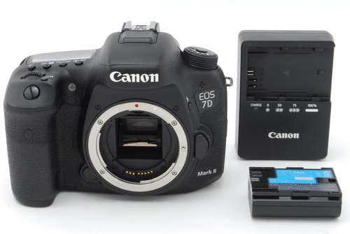 Mint s c24100 canon - 【n, mint+++
