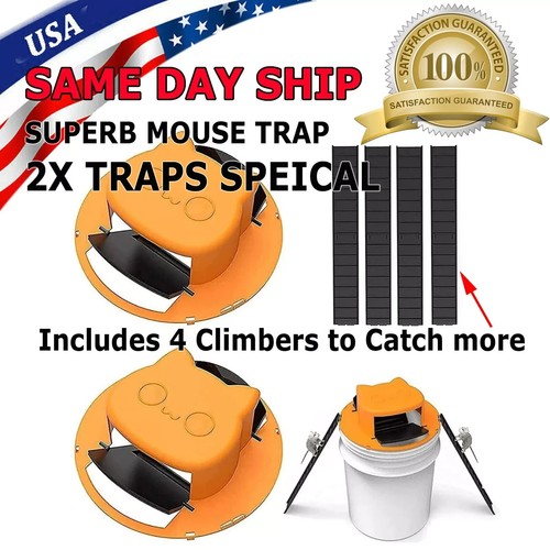 Mouse rat rodent trap flip - mouse-rat-rodent,