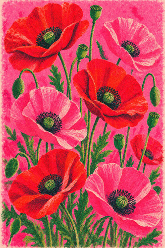 Poppy risograph print - risograph, pink
