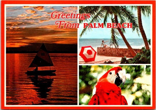 Postcard florida greetings - postcard,