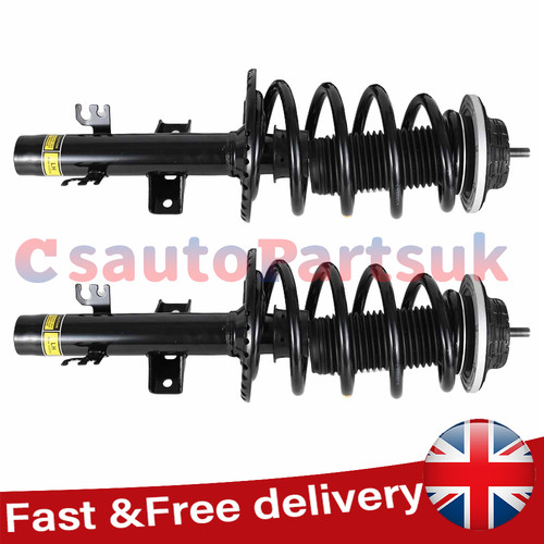 Pair complete struts assembly - pair,