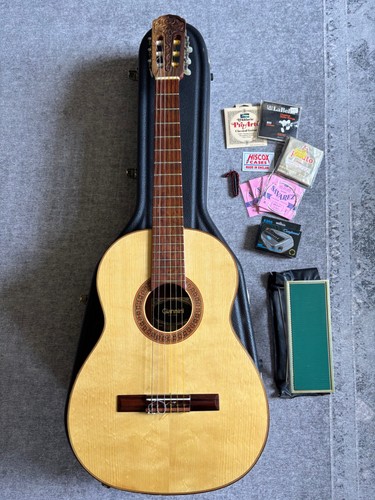 Giannini awn 1978 - giannini,