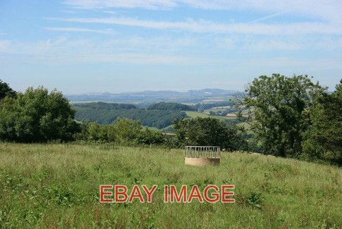 Photo cattle feeder with - , a