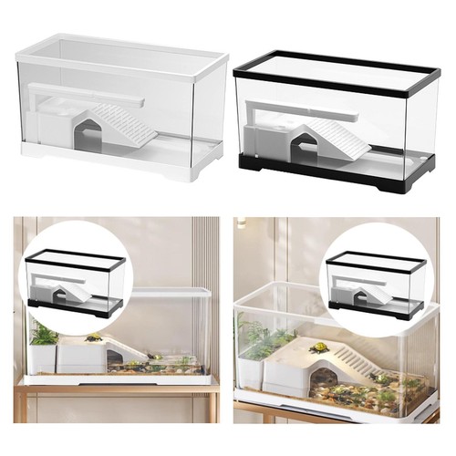 Turtle tank aquarium - turtle,