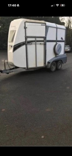 Bateson ascot double horse - ascot,