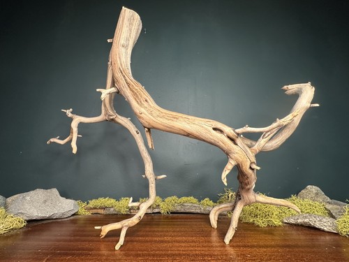 Manzanita driftwood - manzanita,