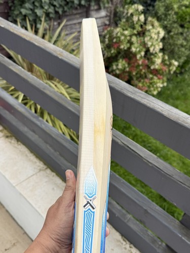 Rare grade one english willow - rare,