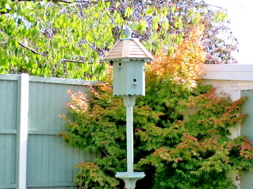 Dove cote bird table - cote,