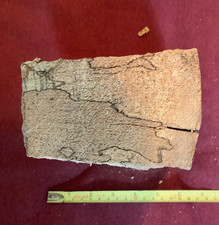 Spalted Beech; irregular chunk;  around 20 x 10 x 5 cms; see images