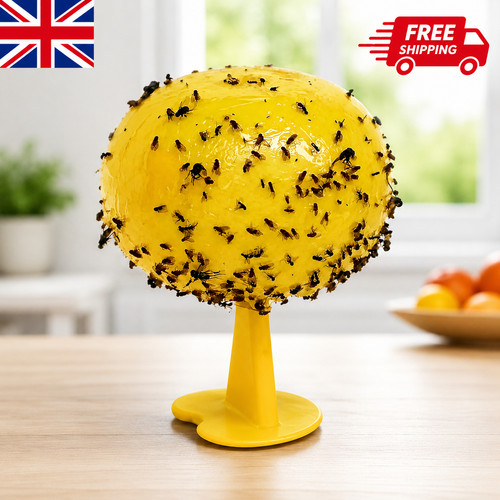 Fruit fly balls - fruit,