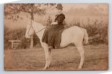 Animals: Side Saddle On White