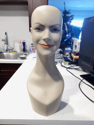 Female mannequin bust - bust, head