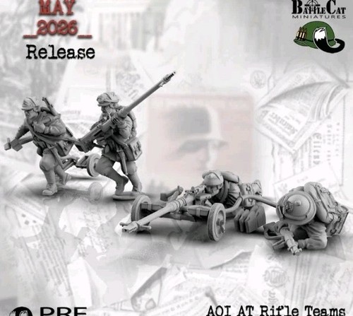 Ww2 aoi rifle teams - aoi, 3d