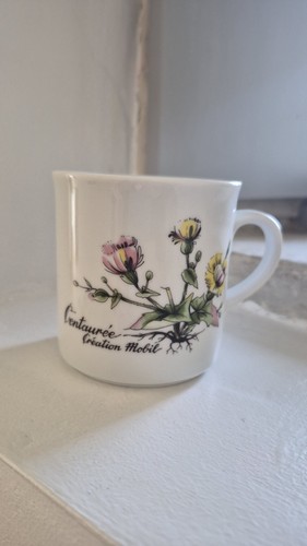 Winterling bavaria botanical - winterling,