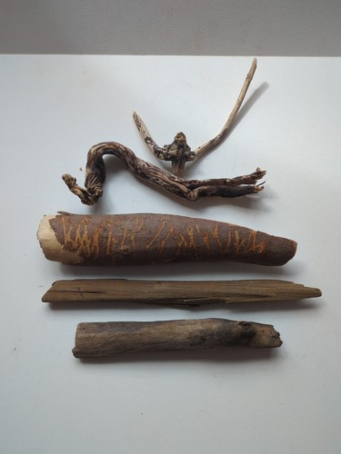 Mixed collection driftwood - mixed,