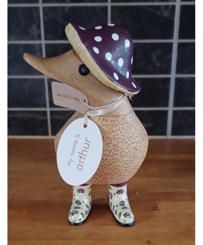 Dcuk arthur fungi friends - arthur,