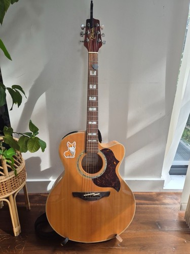 Takamine electro acoustic - takamine, electro-acoustic