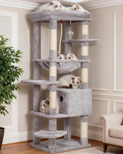 Cat tree for - cat,