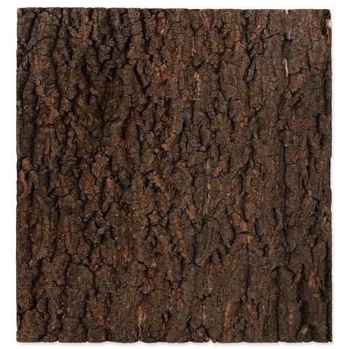 Repti planet cork - repti,