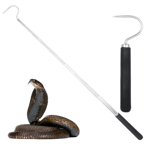 Pocket snake hooks reptile - snake,
