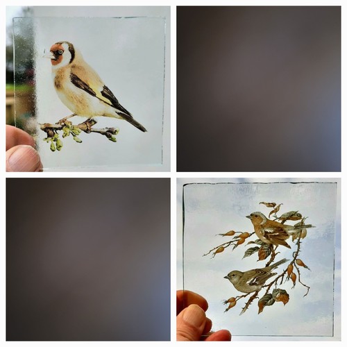 Stained glass birds nature - stained,