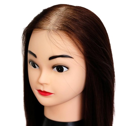 Hair mesh integration - hair, training