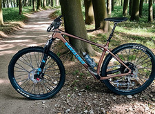 2021 Santa Cruz Chameleon C - Carbon Mountain Bike - Large) 29" - Lightweight