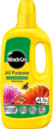 Miracle gro all purpose - gro,