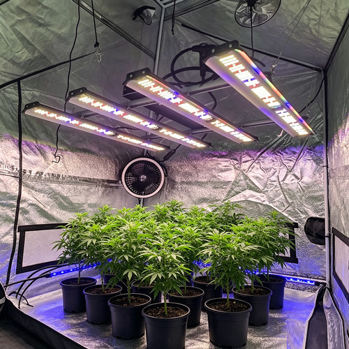 4000w spider led grow - 4000w, light