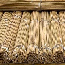 5FT Bamboo Canes Thick Heavy