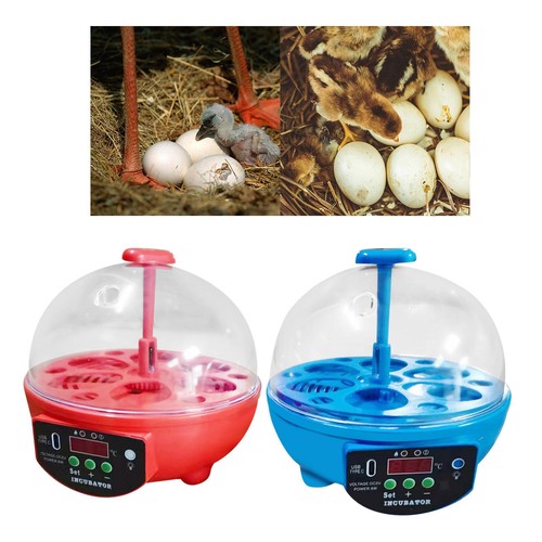 Eggs incubator automatic egg - eggs,