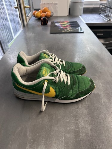 Vintage 2011 nike pegasus - vintage,
