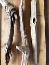 Unique Medium Driftwood Pieces