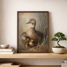 Mallard Duck Poster Baby